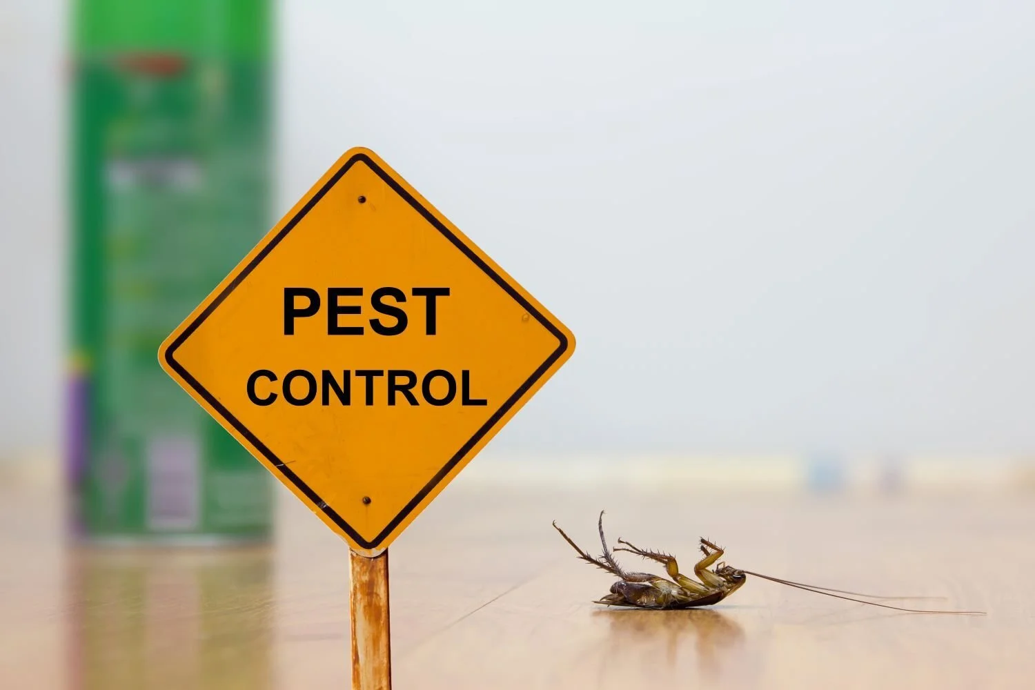 Pest Control SEO: How to Get More Exterminator Leads from Google