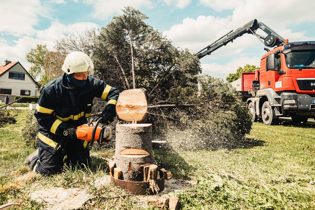 Tree Service SEO: How to Get More Customers from Google